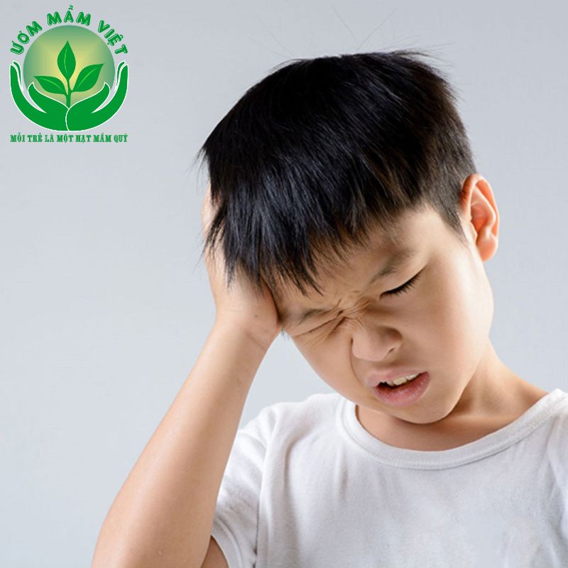 Mức độ rối loạn phổ tự kỉ