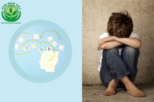 Các Mức Độ Của Rối Loạn Phổ Tự Kỷ